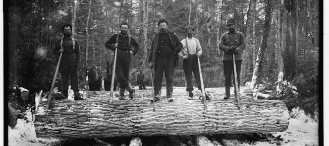 loggers
