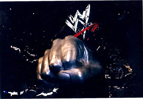 smackdownfist.jpg