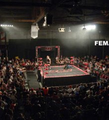 Female wrestling fan