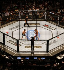 UFC WWE