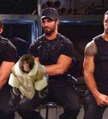 WWE The Shield