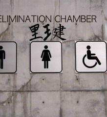 WWE Elimination Chamber toilet