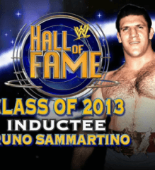 Bruno Sammartino HOF