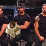 WWE The Shield
