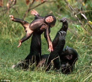 monkey flip wrestling