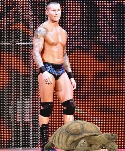 Randy orton entrance