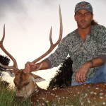 Shawn Michaels deer
