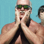 Hulk-hogan-hair