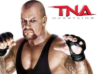 Tna Direxion Daily