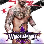 where-is-cm-punk