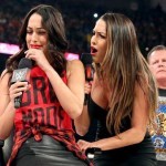 Nikki Bella attacks brie