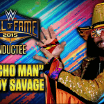 WWE hall of fame