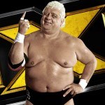 Dusty Rhodes tag team tournament