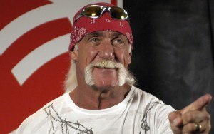 Hogan gawker