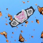 Divas championship