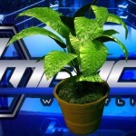 Mitch wwe