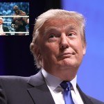 rigged trump
