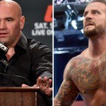 Punk ufc