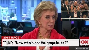 Linda McMahon trump