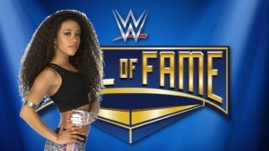 WWE hall of fame 2017