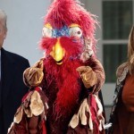 Trump pardon