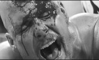 wwe blood