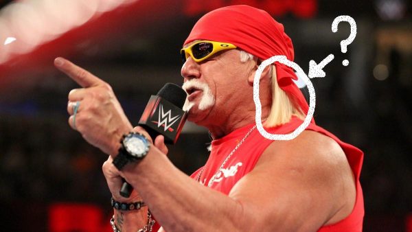 hulk hogan raw