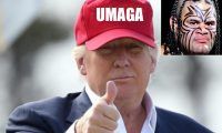 maga hat