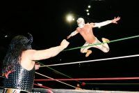 lucha libre