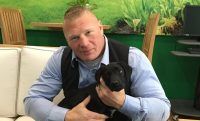lesnar dog