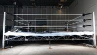 wrestling sexual