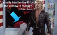 jannetty window
