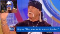 hulk hogan america