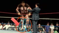 giant gonzalez