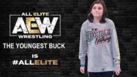 nicholas wwe