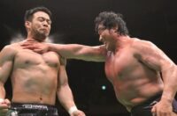pro wrestling chop