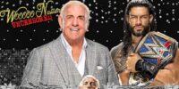 Ric flair roman reigns