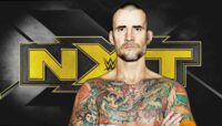 cm punk nxt